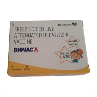 Freeze-dried Live Attenuated Hepatitis A Vaccine